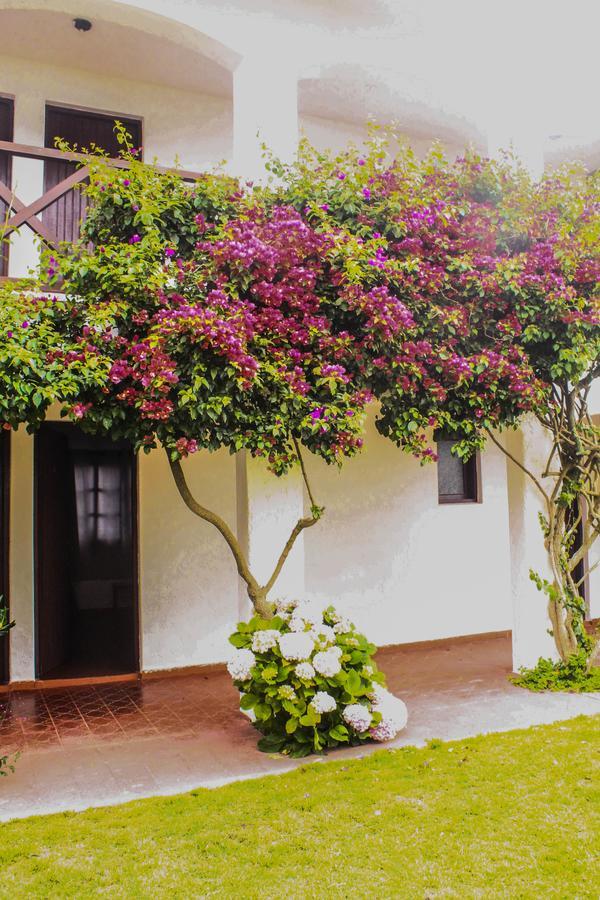 Hotel Del Diablo Punta Del Diablo Eksteriør billede